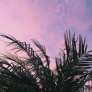 Meet your Posher, Madeline